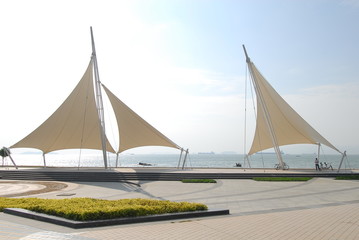 2分钟秒懂！一手好牌辅牌器购买(助手神器外辅工具)