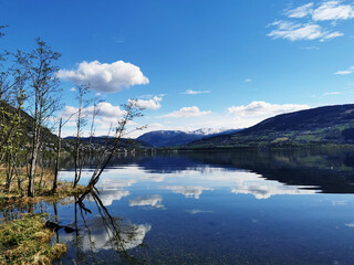 2分钟秒懂!一手好牌辅牌器购买(助手神器外辅工具)