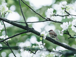 2分钟秒懂！一分快三辅牌器购买(助手神器外辅工具)