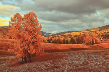 2分钟秒懂!yy湖南麻将辅牌器购买(助手神器外辅工具)