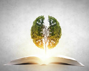 2分钟秒懂！YY衡阳字牌辅牌器购买(助手神器外辅工具)