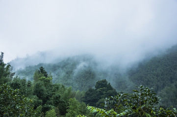 2分钟秒懂！YY衡阳字牌辅牌器购买(助手神器外辅工具)